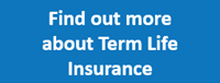 Button leading to Term Life Insurance Benefits page.